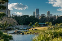 Excursion photographique à Tokyo: du quartier historique d'Edo à la Tokyo moderne