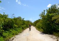 Grand Cayman Shore Excursion: West Bay Bike Tour