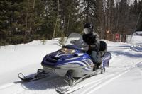 Rocky Mountains Motoneige Tour: Backcountry Adventure