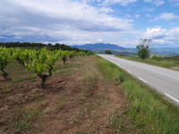 Excursion en 4x4 à Penedes au départ de Barcelone Avec dégustation de vin