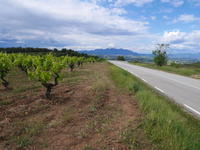 Penedes 4x4 Tour from Barcelona Including Wine Tasting