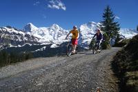 Bernese Oberland Mountain Scooter Tour from Interlaken