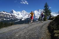 Excursion en trottinette vers l'Oberland bernois depuis Interlaken image 1 Excursion en trottinette vers l'Oberland bernois depuis Interlaken image 1