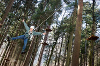 High Ropes Experience from Interlaken Including BASE Jump Simulator and Zipline