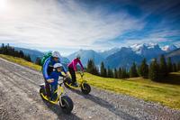 Monster Scooter Tour from Interlaken with Optional Fondue Dinner