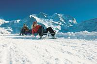 Snowshoe and Sled Adventure in the Swiss Alps from Interlaken