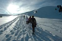 Snowshoe Tour from Interlaken