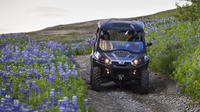 1-Hour 'Buggy Safari' Buggy Adventure from Reykjavik