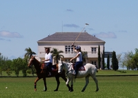 Devenez joueur non de polo: Excursion d une journée à Puesto Viejo Estancia