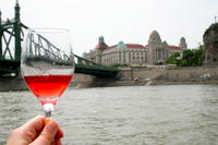 Private Tour: Budapest Danube River Wine Tasting Cruise