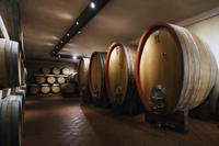 Private Tour: Villány Wine Country Day Trip from Budapest Including Lunch