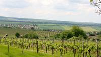 Private Wine and Sightseeing Tour with One-Way Budapest - Bratislava Transfer