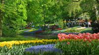 Amsterdam Day-Trip Combo: Keukenhof Gardens and Zaanse Schans Windmill Village