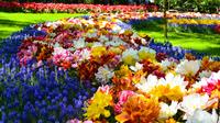 Combo de Amsterdã: Jardins Keukenhof e vila dos moinhos de vento de Zaanse Schans Combo de Amsterdã: Jardins Keukenhof e vila dos moinhos de vento de Zaanse Schans