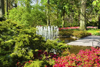 Excursion d'Une journée aux jardins de Keukenhof au départ d'Amsterdam Avec visite guidée des champs de fleurs
