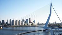 Small-Group Day Trip to Rotterdam, Delft and The Hague from Amsterdam Including Spido Boat Tour