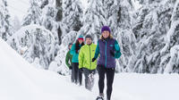 Grouse Mountain Snowshoe Rental