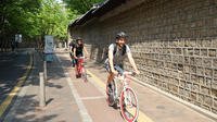 Morning Seoul City Bike Tour