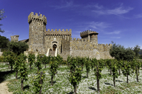 Visite en tramway des vins de la vallée de Napa et du château