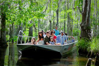 Visite de Honey Island Marécage transports with