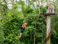 Angkor Park Ziplining and Ta Prohm Tour from Siem Reap