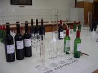 Penfolds Barossa Valley: Make Your Own Wine