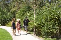 Patrimoine autochtone Tour of Kings Park Walking