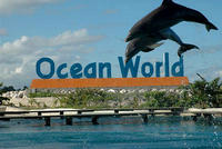 Ocean World Adventure Park Day Trip from Santo Domingo