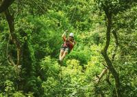 Zipline at Wild Ranch Adventure Park and Kayak Tour on the Chavon River from Santo Domingo