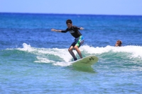 Cours de Surf sur la rive nord à Haleiwa Beach Park