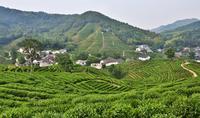 Privétour: ultieme sightseeingtour van Hangzhou Privétour: ultieme sightseeingtour van Hangzhou
