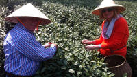 Private Tour: Hangzhou Tea Culture Day Tour