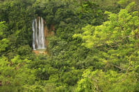 El Limón Waterfall and Plantation Tour from Samaná