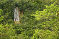 Recorrido por la catarata El Limón y una plantación desde Samaná Recorrido por la catarata El Limón y una plantación desde Samaná