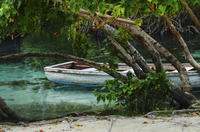 Visite du lagon bleu au départ de Puerto Plata