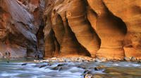  Zion National Park Flight and Ground Tour