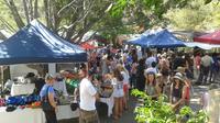 Eumundi Markets and Sunshine Coast Day Trip from Brisbane