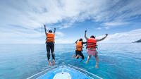 Ocean Bliss: Journée complète privée Speedboat Arrábida Tour de Lisbonne