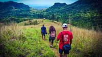 Small-Group Hiking Adventure Including Lunch with a Local Family from Nadi