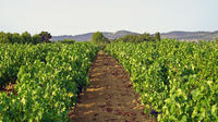 Excursion privée : atelier du vin en Provence au départ de Marseille