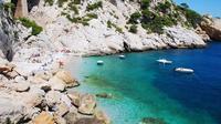 Visite privée: Snorkeling et Mini-croisière dans le Parc National des Calanques de Marseille