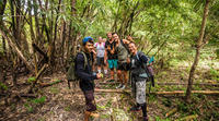 5-daagse trekkingtour door Umphang vanuit Bangkok 5-daagse trekkingtour door Umphang vanuit Bangkok