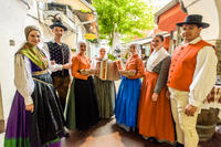 Traditional Slovenian Dinner and Show