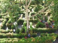 A-Maze Garden Admission Phuket