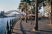 Excursion en bord de mer à Sydney: Tour à pied de Sydney