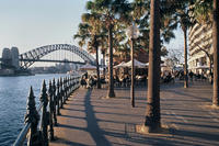 Sydney Shore Excursion: Sydney Walking Tour