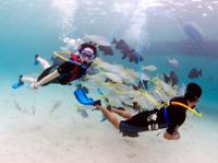 SNUBA Dive Experience in Montego Bay