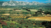 Excursion d'une journée dans les Alpilles au départ d’Avignon comprenant Saint-Rémy-de-Provence, Les Baux-de-Provence et un déjeuner