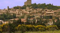 Grands Crus Dégustation de vin et visite Vignoble d'Avignon - Avignon - 