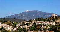 Small-Group Vaison-la-Romaine and Séguret Day Trip from Avignon Including Provençal Wine and Cheese Tasting